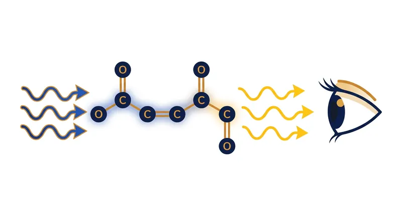 Chromophores trapped in the paint film absorb high-energy blue light, causing the surface to appear yellow to the human eye.