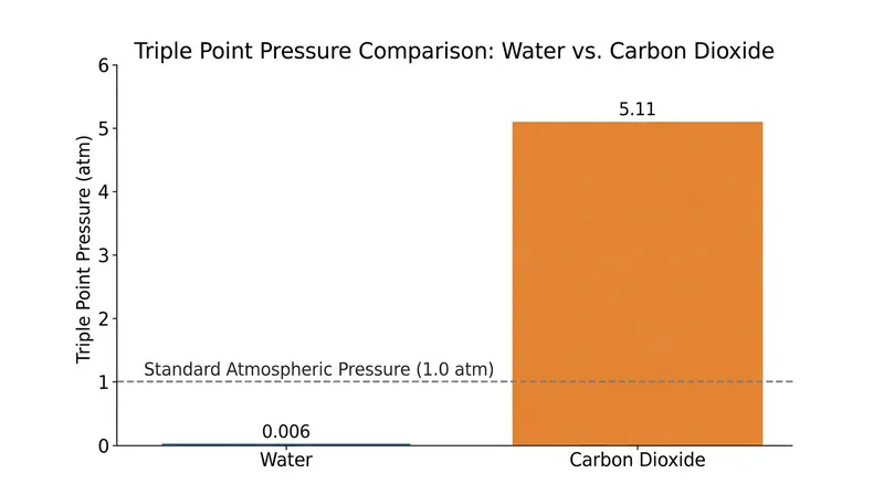 Water's triple point sits well below atmospheric pressure, allowing it to exist as a liquid, whereas carbon dioxide requires more than five times Earth's surface pressure.