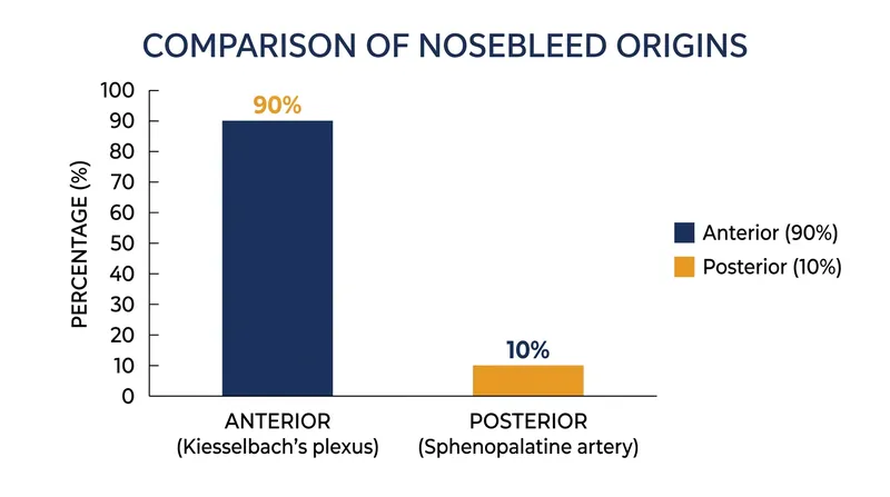 The vast majority of epistaxis cases originate in the anterior septum, making them highly responsive to direct external compression.