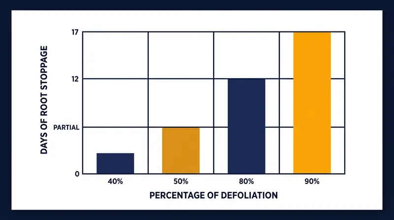 USDA research demonstrates how severe defoliation paralyzes root development.