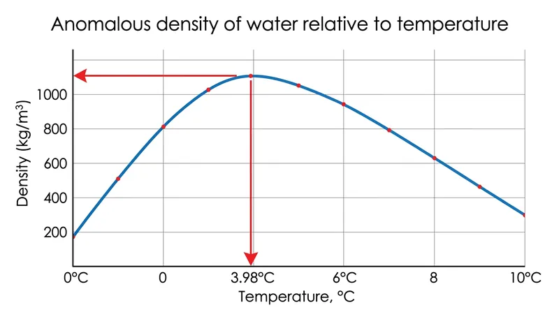 Unlike most liquids, freshwater reaches its maximum density at 3.98°C before expanding as it approaches its freezing point.