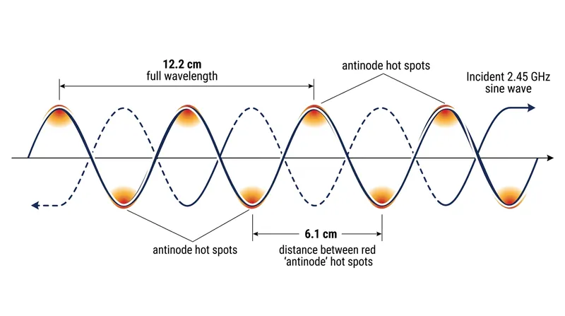 Because the 2.45-gigahertz waves reflect and cross, they form a standing wave with intense hot spots exactly 6.1 centimeters apart.