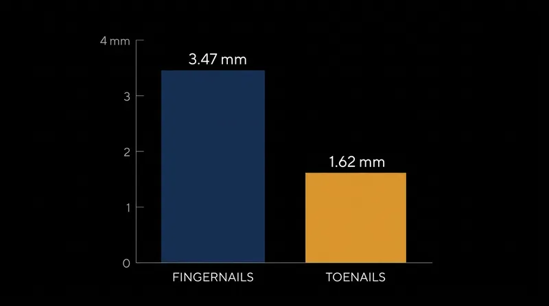 Because nails grow slowly, a spot in the center of the plate represents an injury from months prior.