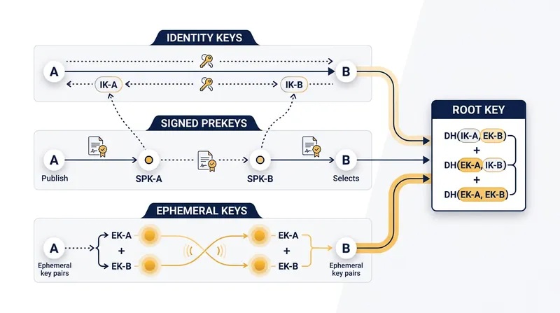 The initial handshake establishes the foundational root key before the ratcheting process begins.