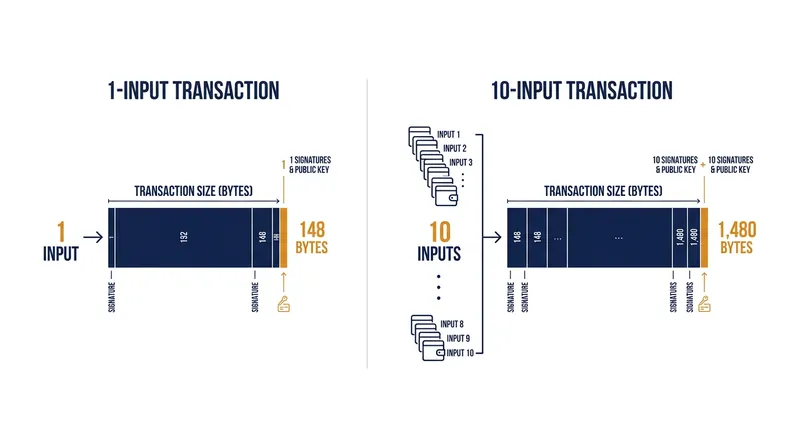 Each additional input requires its own digital signature, increasing the transaction's total byte weight.