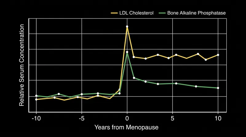 Biomarkers for cardiovascular and skeletal health show a synchronized disruption precisely at the cessation of ovarian function.