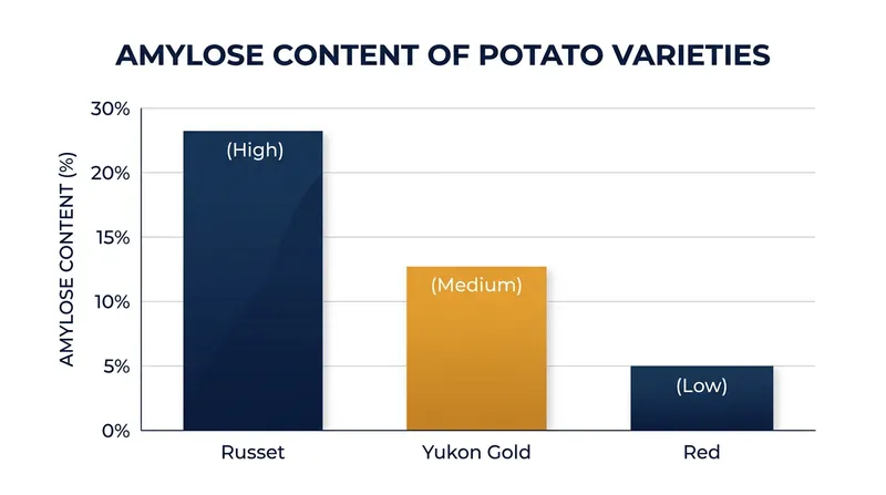 High-starch potatoes like Russets contain more amylose, making them more susceptible to turning gluey if overworked.