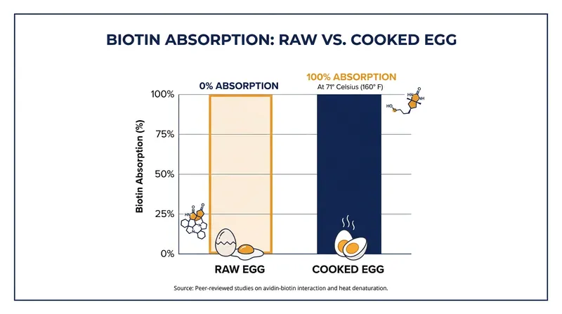 Cooking an egg to 71 degrees Celsius restores 100 percent of its biotin bioavailability.