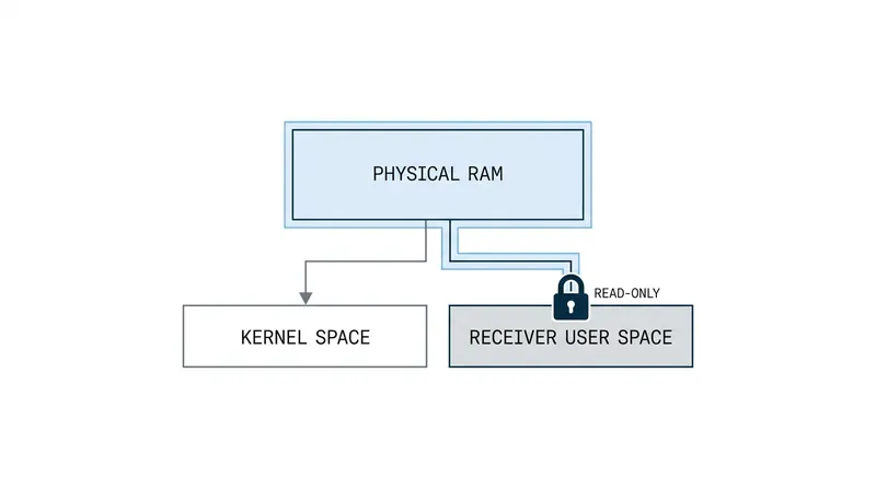 The mmap function allows the same physical RAM to be accessed simultaneously by the kernel and the receiving application.