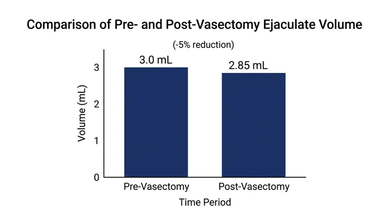 The volumetric reduction from a vasectomy falls within natural day-to-day fluctuation.