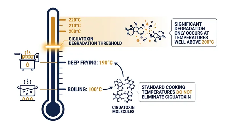 Standard cooking methods fail to reach the temperatures required to break down the toxin's polyether rings.