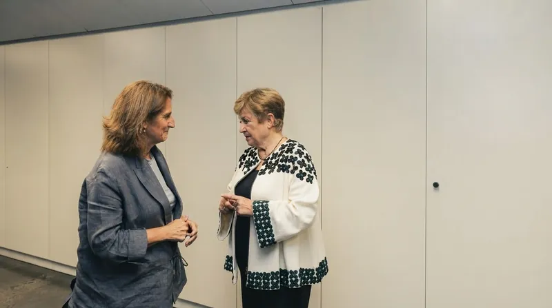 IMF Managing Director Kristalina Georgieva urged advanced economies to "get your house in order" to prevent further financial fragmentation.