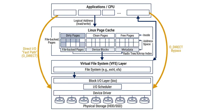 The page cache sits between system memory and storage, acting as a critical bottleneck for read operations.