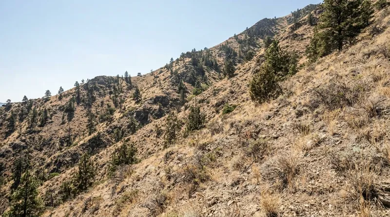 Illustration: Fire behavior analysts measure slope angles to project a fire's rate of spread and establish safety margins.