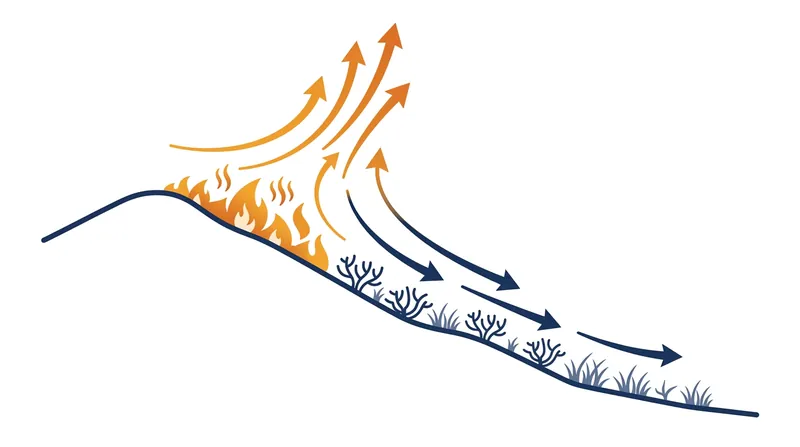 Fires backing downhill spread slowly because the rising thermal plume is directed away from the unburned fuel.