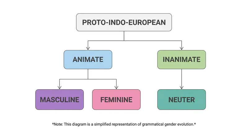 The evolutionary split from animacy to sex-based gender.