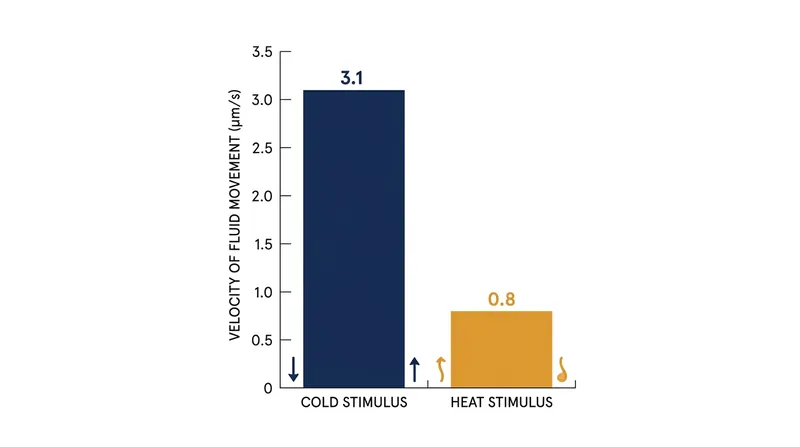 Cold triggers a significantly faster outward fluid shift than the inward pressure caused by heat.