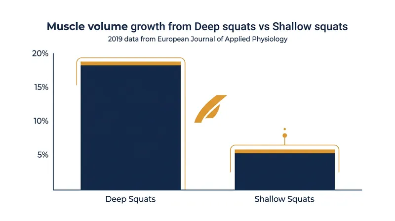 Studies consistently show that deep squats generate greater overall muscle volume than shallow movements.