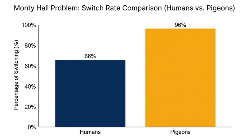 In empirical trials, pigeons rapidly learned to switch 96 percent of the time, while human subjects plateaued at 66 percent.