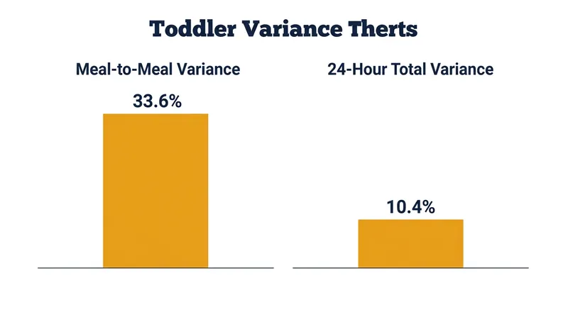 While a toddler's appetite fluctuates wildly from meal to meal, their total 24-hour caloric intake remains remarkably stable.