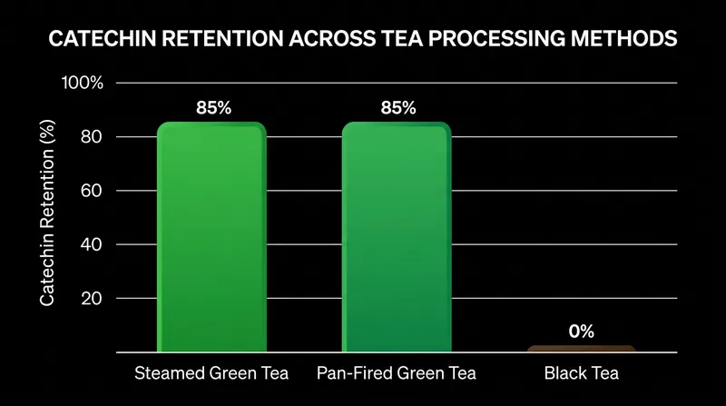 Both steaming and pan-firing preserve the vast majority of the leaf's original catechins.