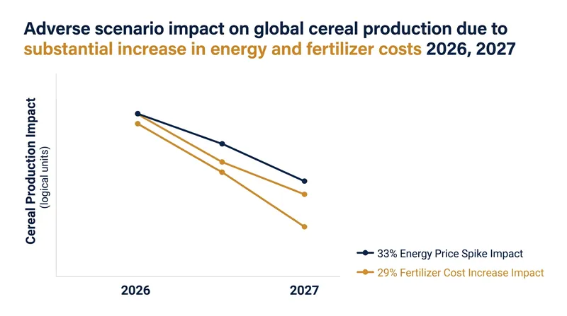 Energy shocks directly inflate fertilizer costs, leading to immediate reductions in cereal production across low-income regions.