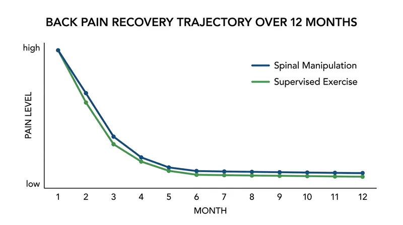 Data from the UK BEAM trial shows that while manipulation offers a slight early benefit, long-term outcomes are indistinguishable from exercise.