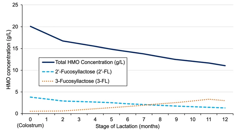 Total HMO concentrations decline as lactation progresses, while specific sugars like 3-FL increase to meet new environmental threats.