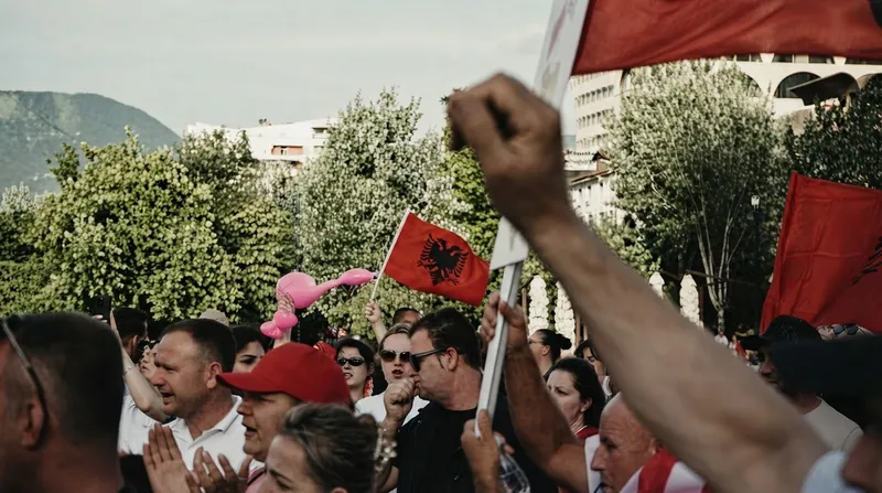 Students marching in Tirana have adopted the flamingo as a symbol of their opposition to a coastal resort development.