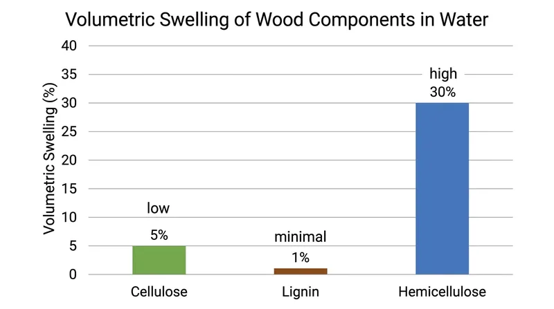 Hemicellulose absorbs significantly more moisture than other wood polymers, driving the swelling reaction.
