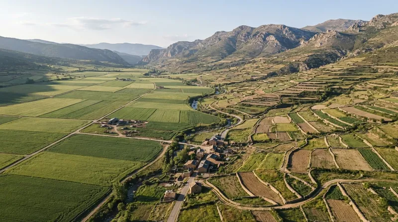 An aerial view contrasting small, fragmented farming plots on the left with large, consolidated agricultural fields on the right.