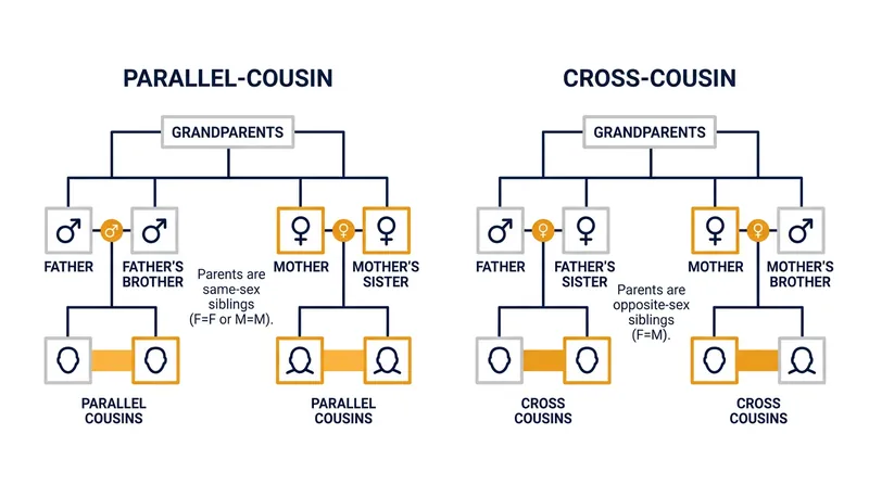The structural difference between cross-cousins and parallel cousins hinges entirely on the gender of the sibling link in the parental generation.