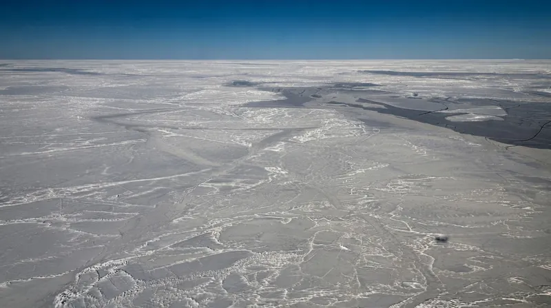 Freshwater melting from massive Antarctic ice shelves threatens to dilute the dense, salty water required to drive the global conveyor belt.