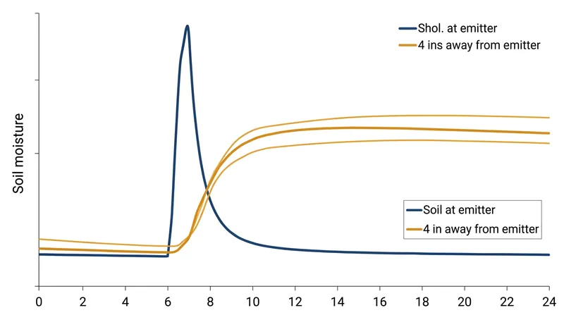 Moisture gradients invert during the resting phase of a pulse cycle.