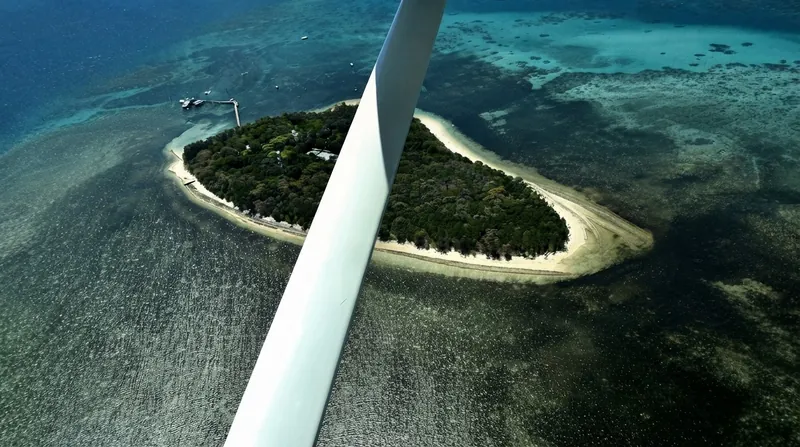 Aerial view of the Great Barrier Reef showing vibrant coral structures beneath clear, still turquoise water.