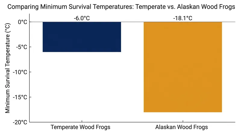 Alaskan wood frogs endure temperatures significantly lower than their temperate counterparts.