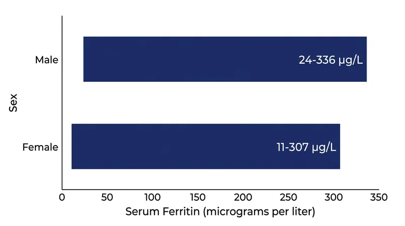 Standard reference ranges for serum ferritin vary significantly by sex, though mild elevations are common in both groups.