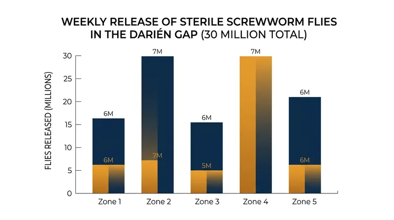 The USDA releases approximately 30 million sterile screwworm flies weekly to maintain the biological barrier.