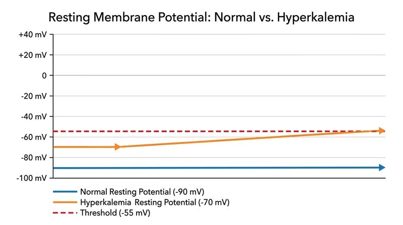 Severe hyperkalemia depolarizes the resting membrane potential, pushing it closer to the firing threshold.