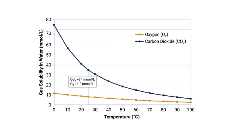 Both oxygen and carbon dioxide follow Henry's Law at lower temperatures, but their absolute solubility limits dictate how easily they are stripped.
