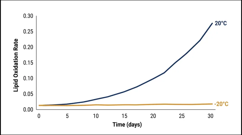 Dropping the storage temperature below minus 20 degrees Celsius effectively halts the lipid oxidation that causes coffee to taste stale.