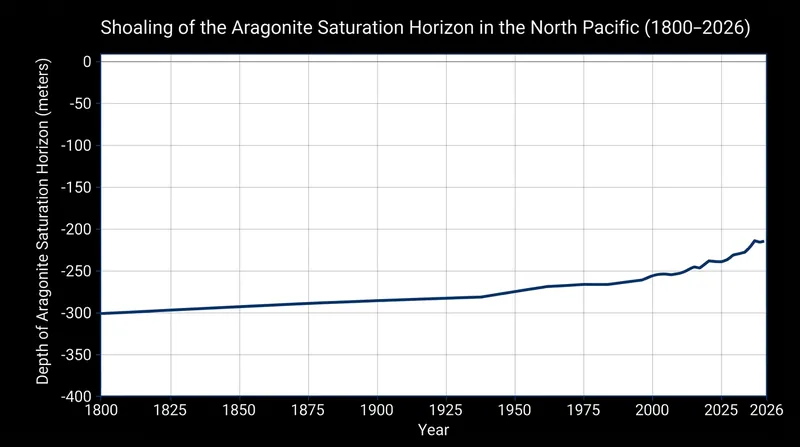 The depth at which aragonite begins to dissolve has moved significantly closer to the surface since the pre-industrial era.