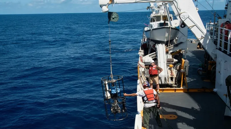 The Southern Ocean's cold waters absorb carbon dioxide rapidly, making it the first region expected to reach surface aragonite undersaturation.