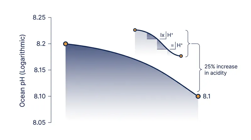 A 0.1 unit drop on the logarithmic pH scale equates to a 25 percent increase in hydrogen ion concentration.