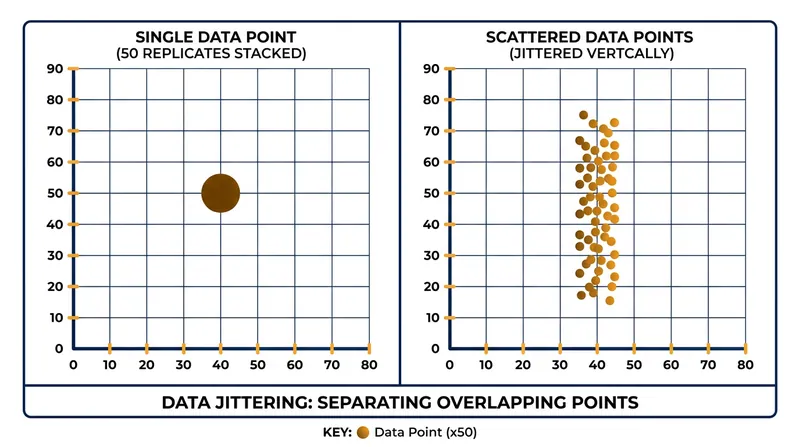 Jittering adds slight random offsets to data points, preventing them from overlapping and revealing the true sample size.