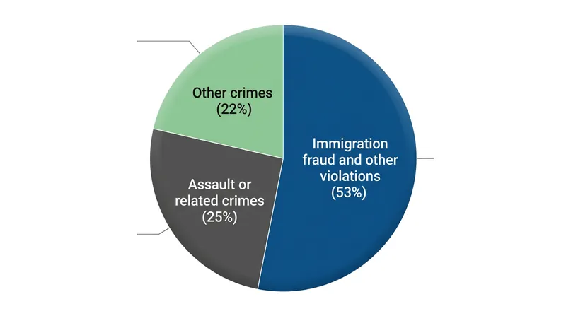 Criminal offenses accounted for nearly half of all visa revocations last year.
