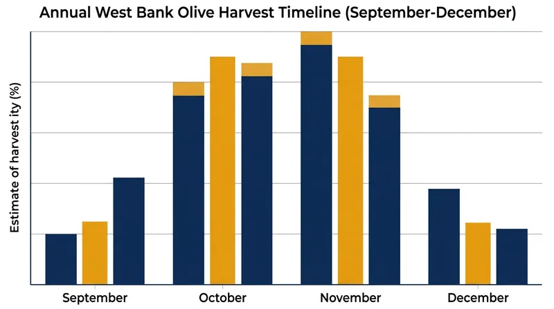 The West Bank olive harvest typically peaks during a 60-day window in October and November.