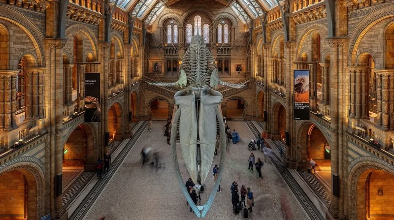 Micro-CT scanning allowed researchers to digitally reconstruct the dinosaur's braincase without damaging the fragile fossil.