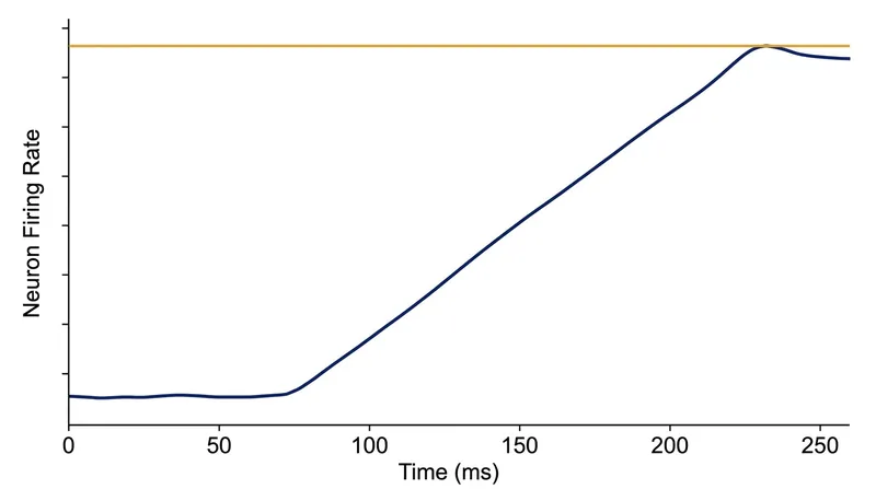 Neural signals in the crow's brain begin to diverge just 70 milliseconds after a visual stimulus appears.