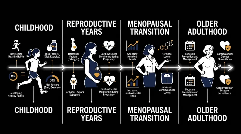 The new advisory divides female cardiovascular care into four distinct phases to ensure continuous monitoring.